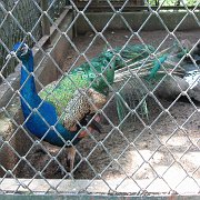 2007-07-28_020