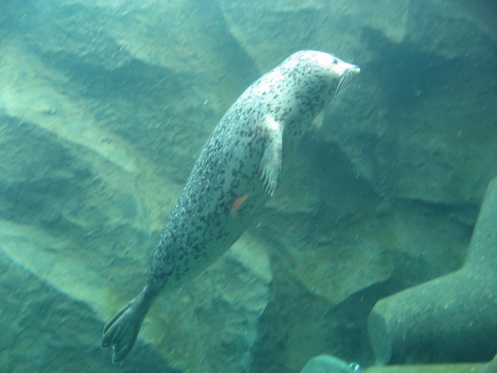 2007-08-01_091