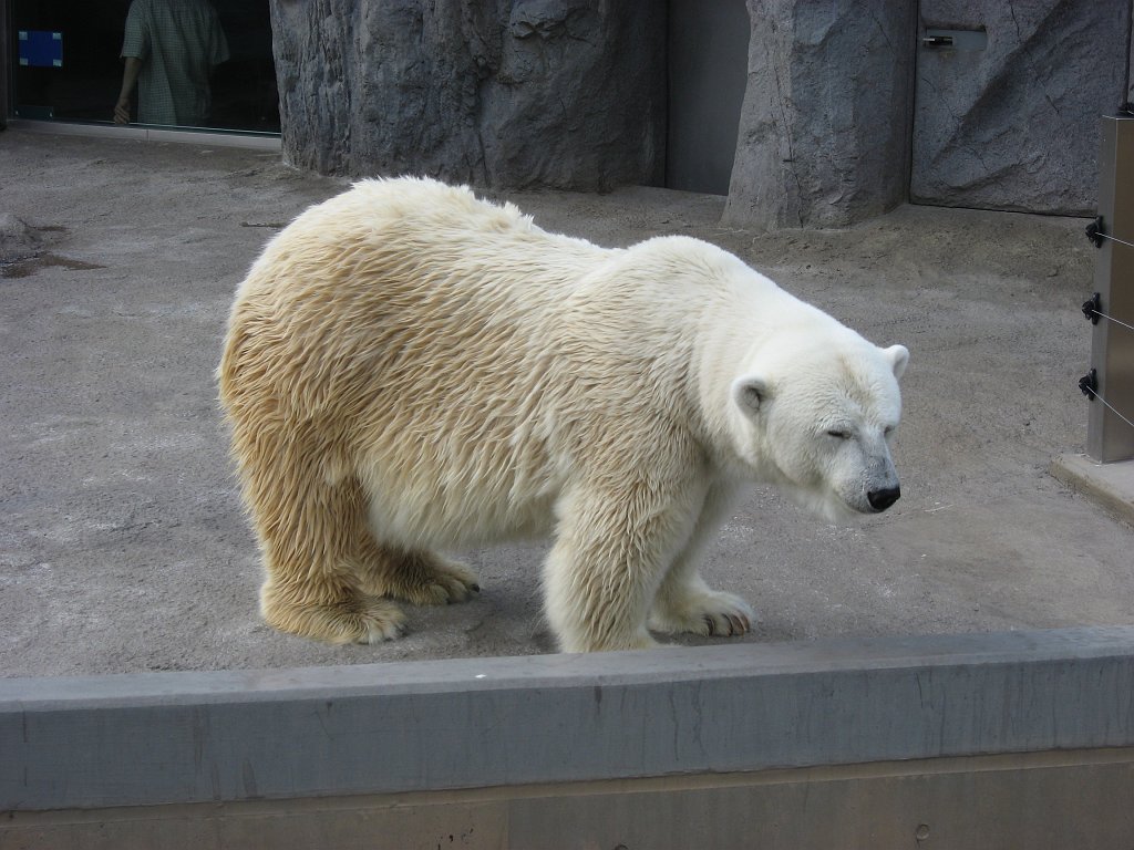 2007-08-01_104