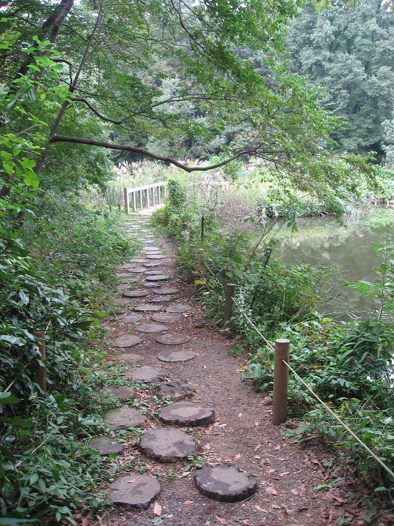 2007-10-14_012