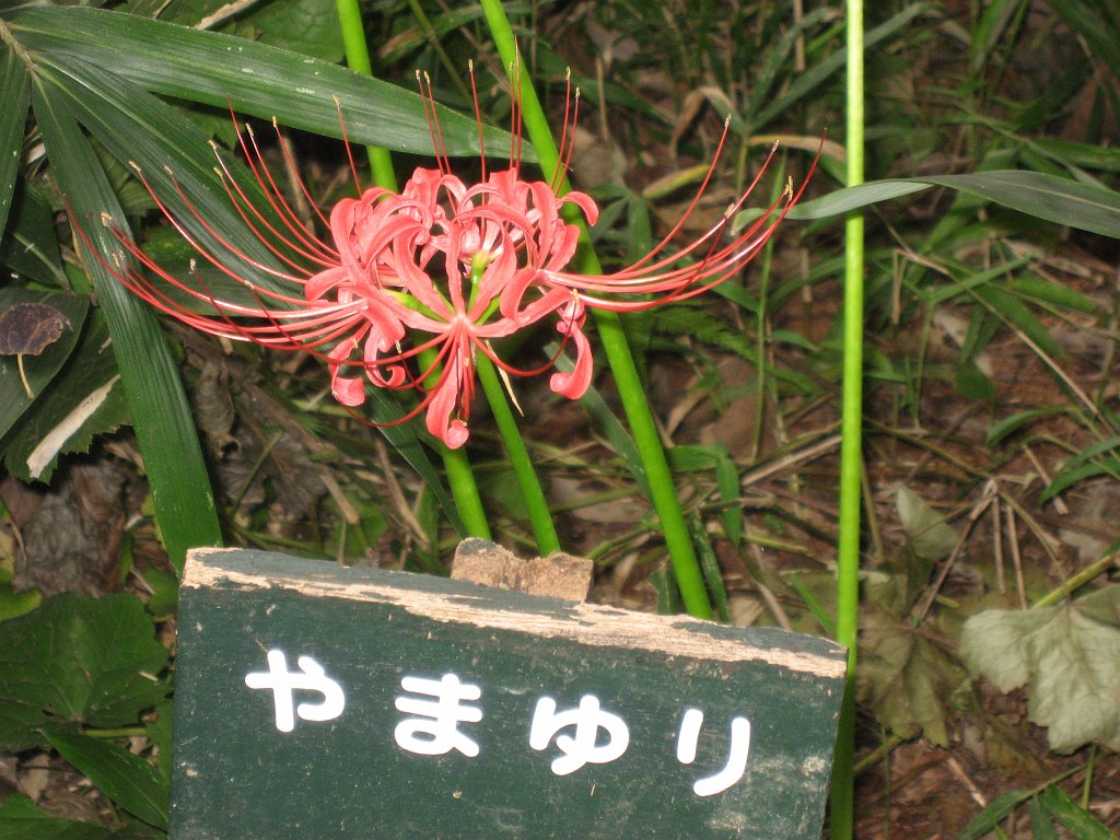2007-10-14_025