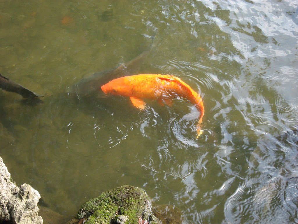2007-10-20_069
