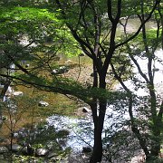 2007-10-20_017
