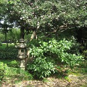 2007-10-20_032