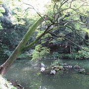 2007-10-20_046