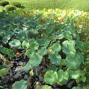 2007-10-20_065
