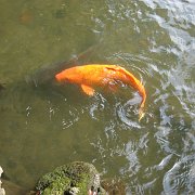 2007-10-20_069