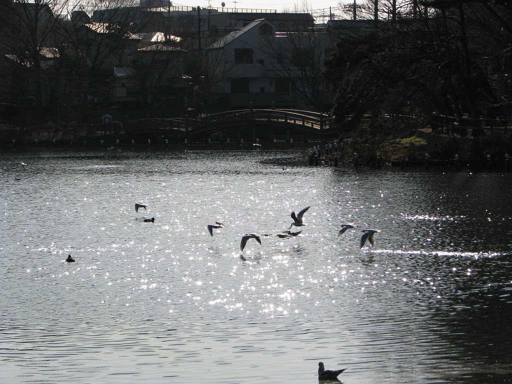 2008-01-10_068