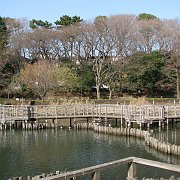 2008-01-10_020