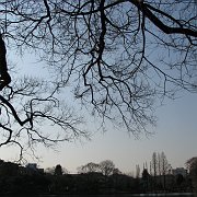 2008-01-10_026