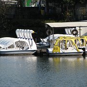 2008-01-10_038