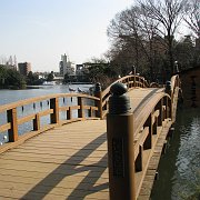 2008-01-10_046