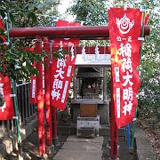 2008-01-10_058