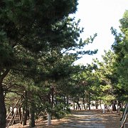 2008-02-08_031