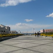2008-02-08_038