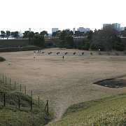 2008-02-08_043