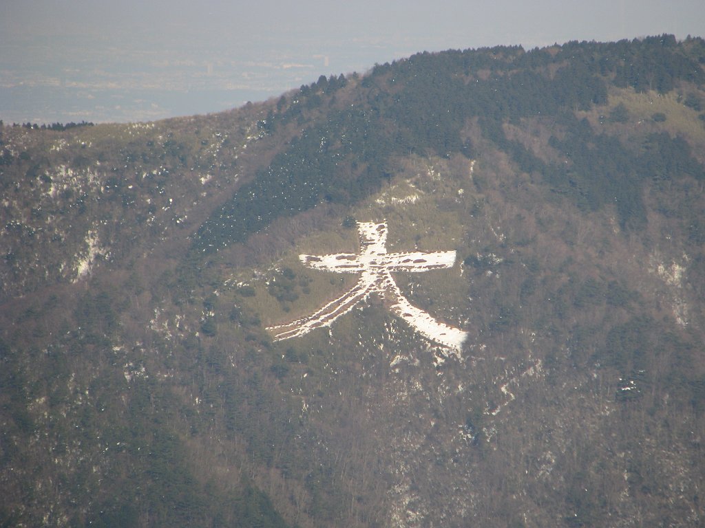 2008-02-11_110