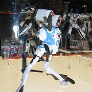 2008-02-24_063