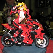 2008-02-24_132