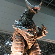 2008-02-24_137