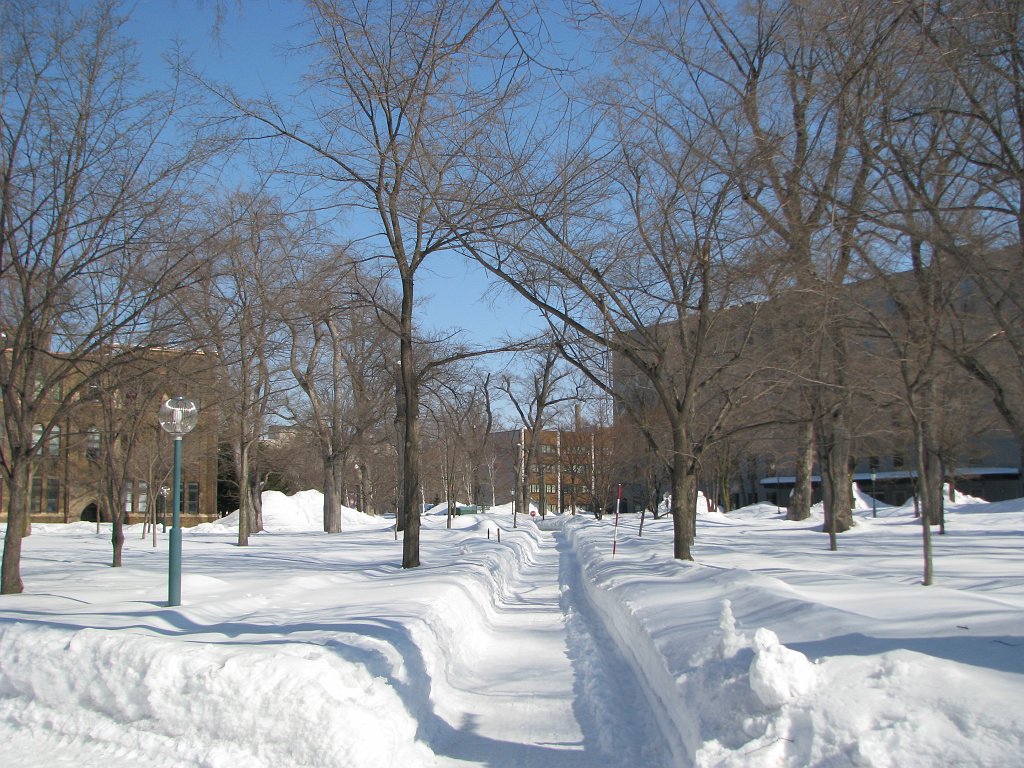 2008-03-05_017
