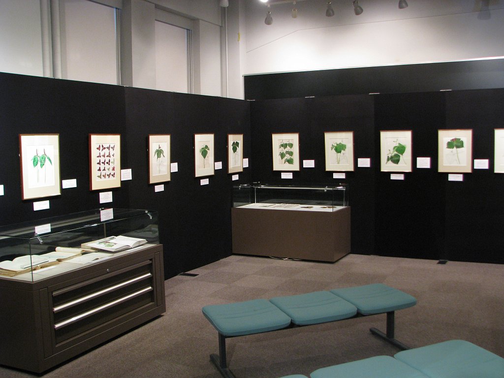 2008-03-05_043