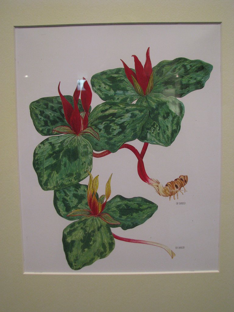 2008-03-05_044