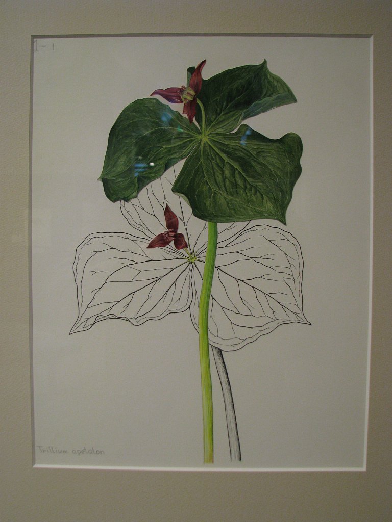 2008-03-05_046