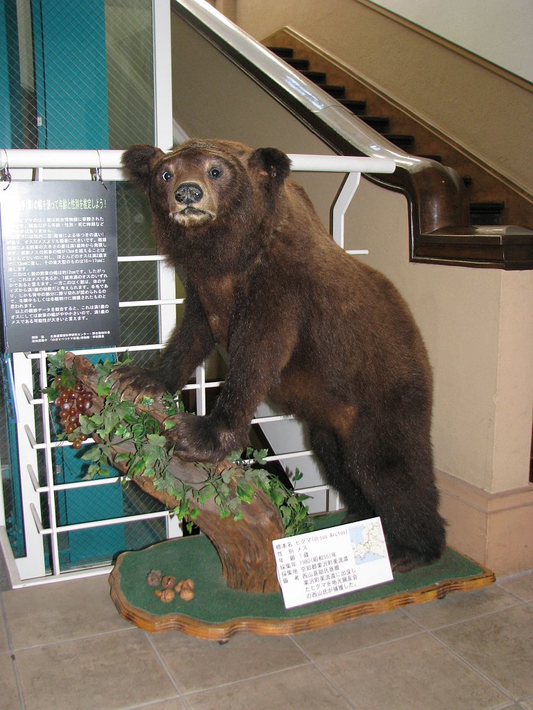 2008-03-05_058