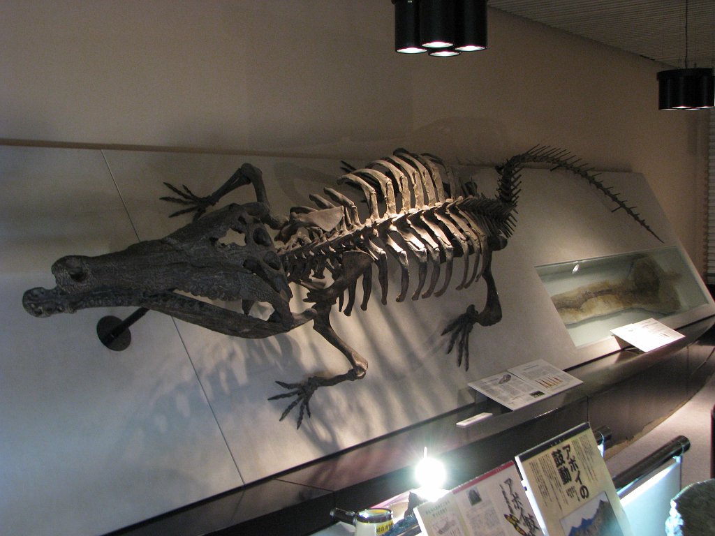 2008-03-05_069