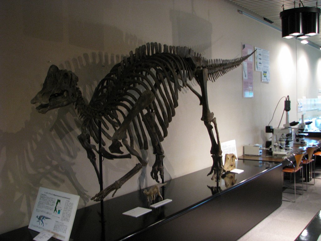 2008-03-05_070
