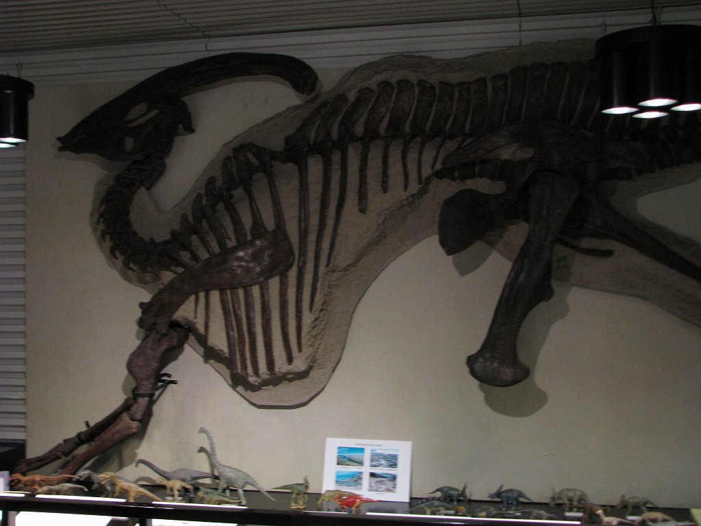2008-03-05_071