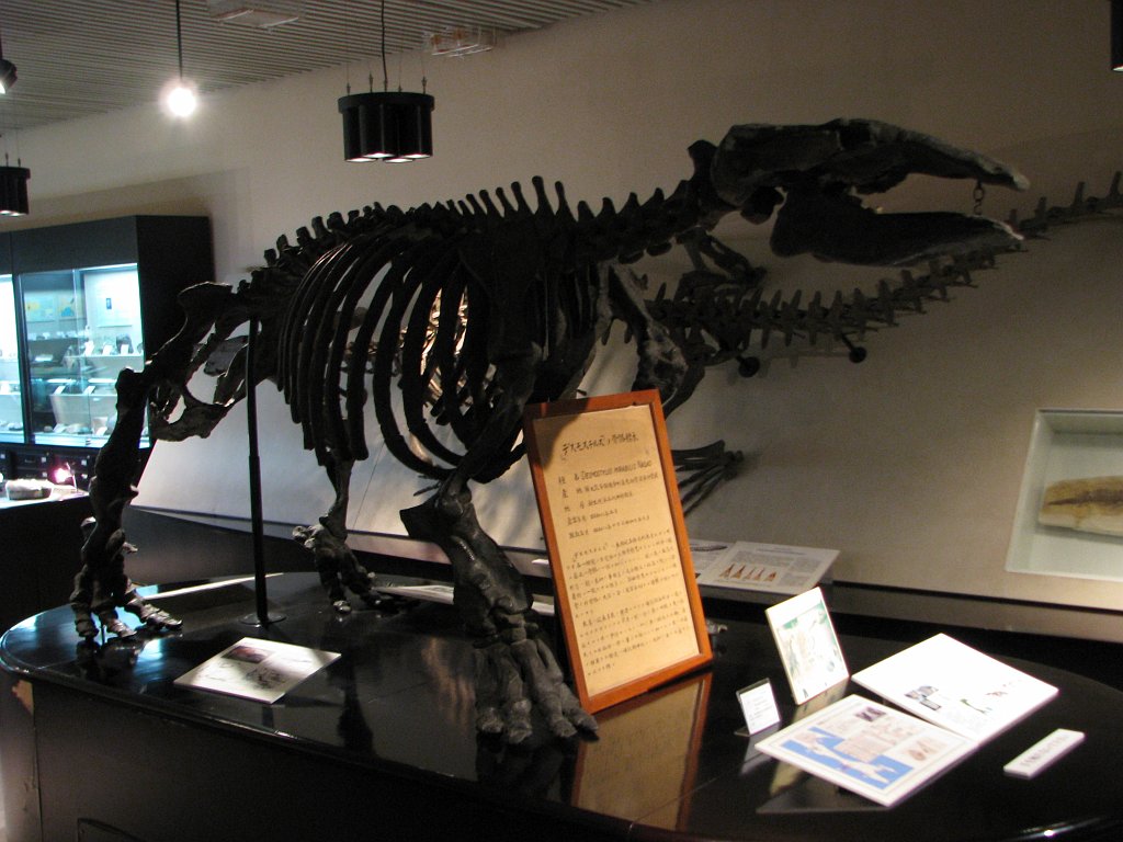2008-03-05_072
