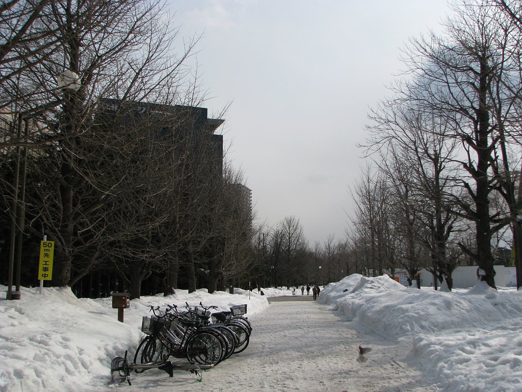 2008-03-05_109
