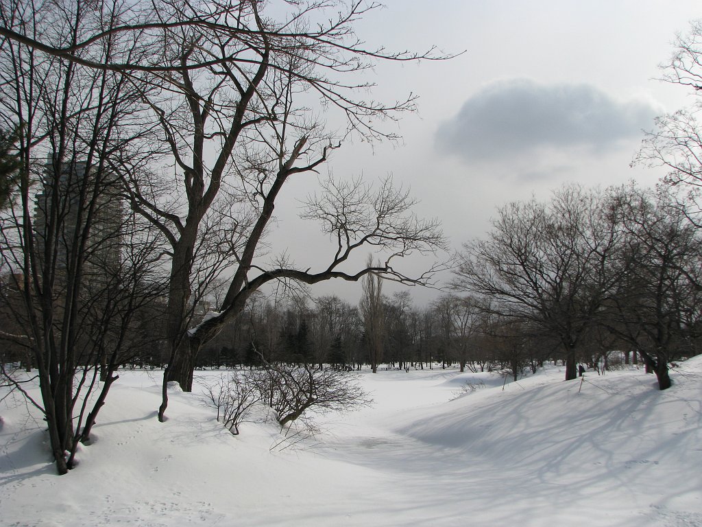 2008-03-05_110