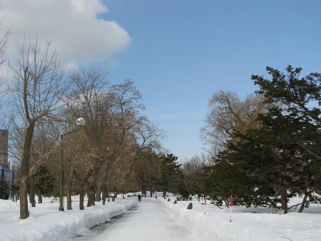 2008-03-05_116