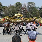 2008-03-18_009