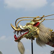 2008-03-18_016
