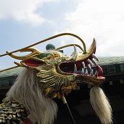 2008-03-18_027