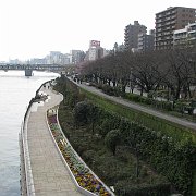 2008-03-18_044