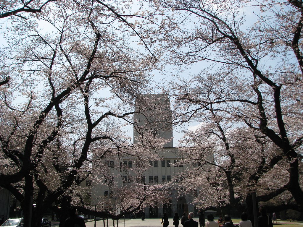2008-03-26_006