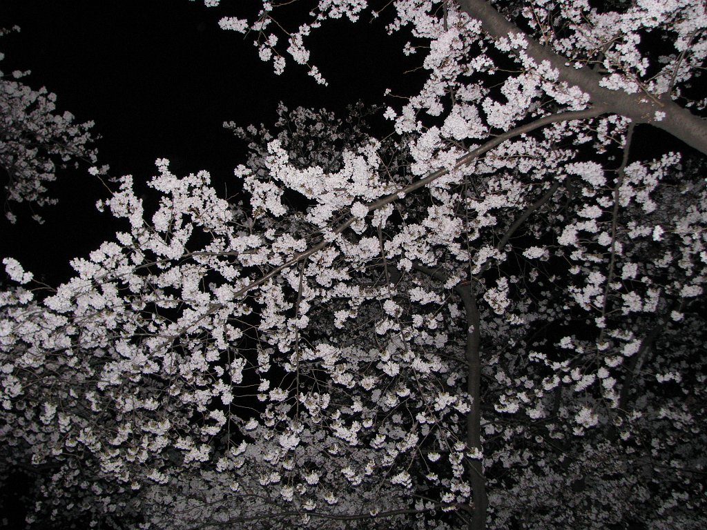 2008-03-26_025