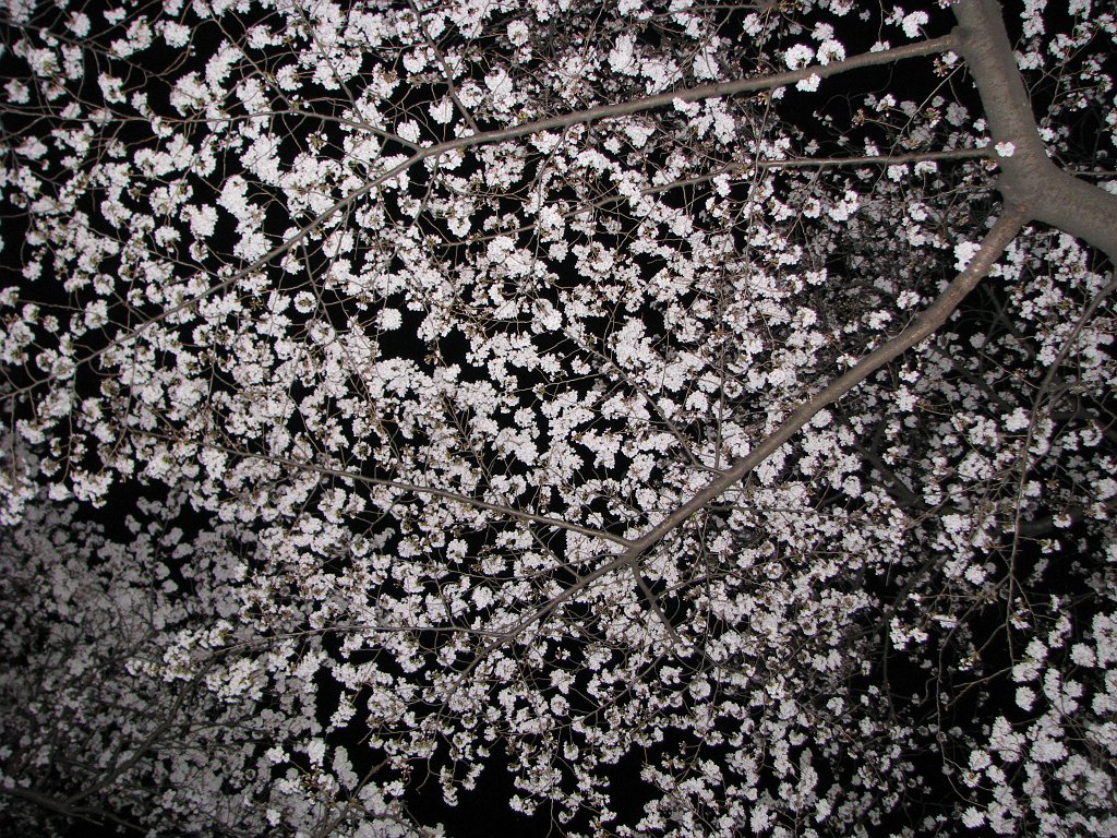 2008-03-26_032