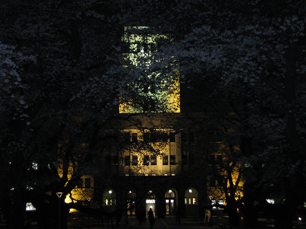 2008-03-26_033