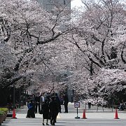 2008-03-26_002