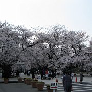 2008-03-26_004