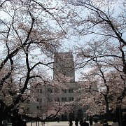2008-03-26_006