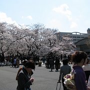 2008-03-26_016