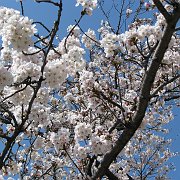 2008-03-26_023