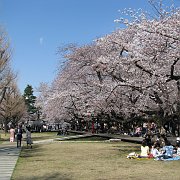 2008-03-26_024